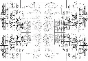 1.webp